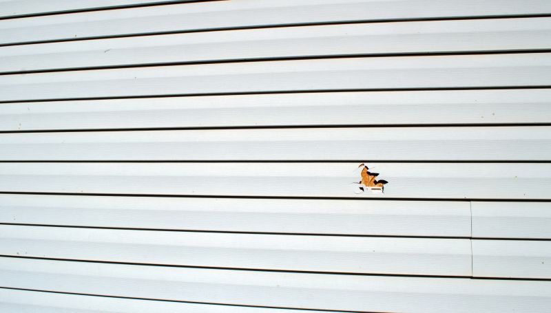 Seamless Vinyl Siding Patch